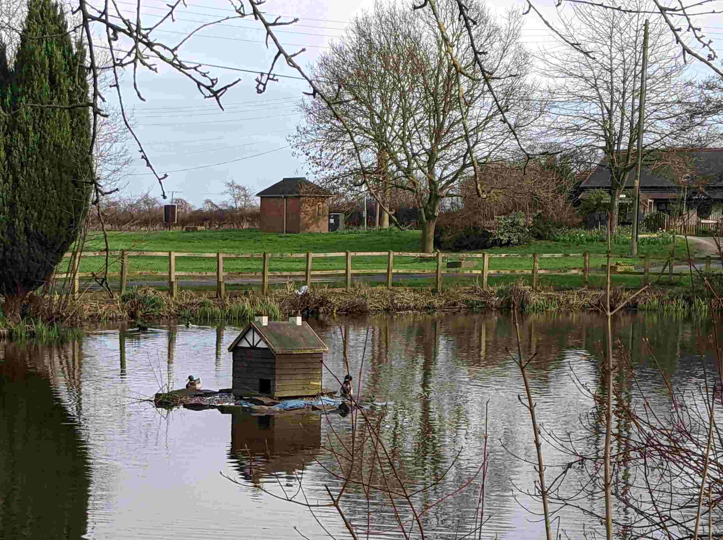 High water on the village pond, 23rd February